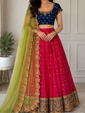 Beautiful lehenga choli